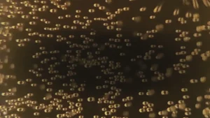 Bubbles Sparkling Wine & Champagne Opener