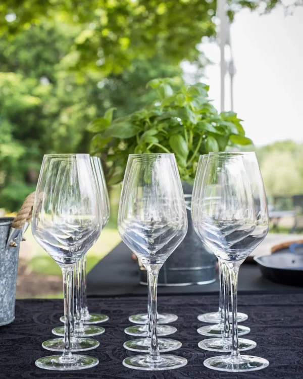 Everyday Lead-Free Crystal Wine Glasses - Set of 6