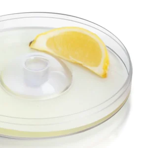 6 Piece Bloody Mary Set