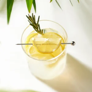 Stainless Steel Cocktail Picks - Set of 6