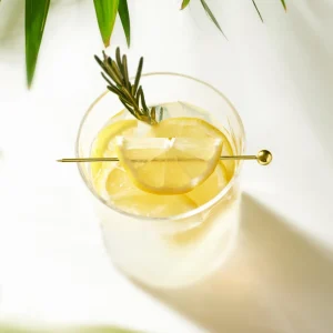 Stainless Steel Cocktail Picks - Set of 6