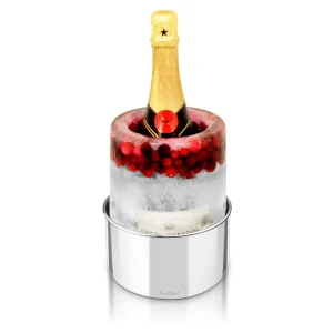 Stainless Steel Ice Bottle Chiller