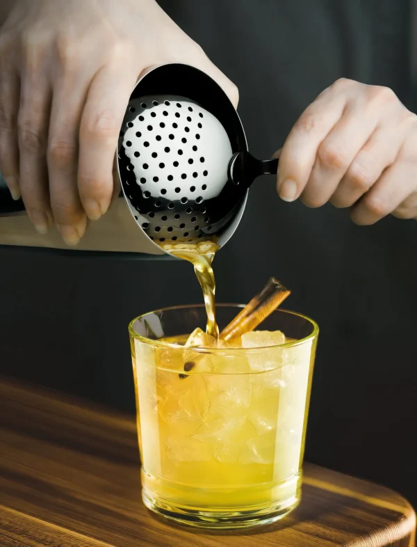 Stainless Steel Julep Strainer