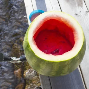 Watermelon Keg Tapping Kit