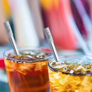 GoSip Stainless Steel Reusable Straws - Translucent Grey
